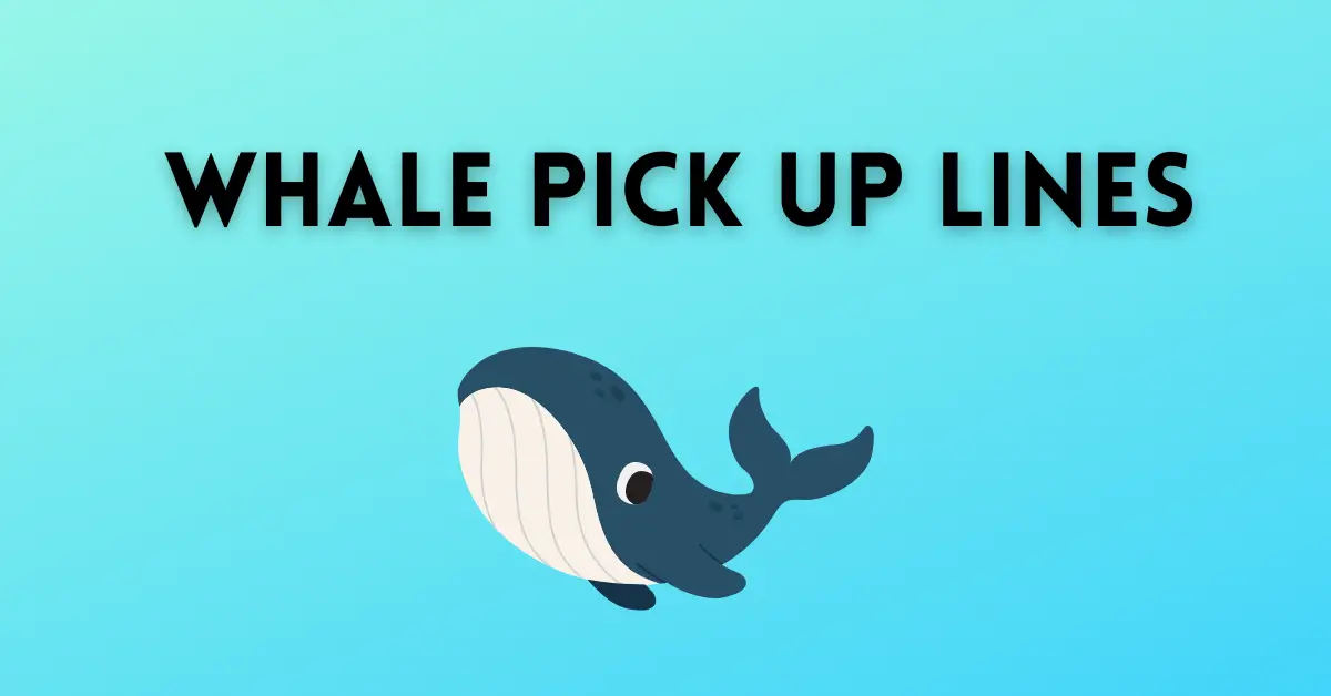 100+ Whale Pick Up Lines That are Smooth, Clean, Cute, and Cheesy